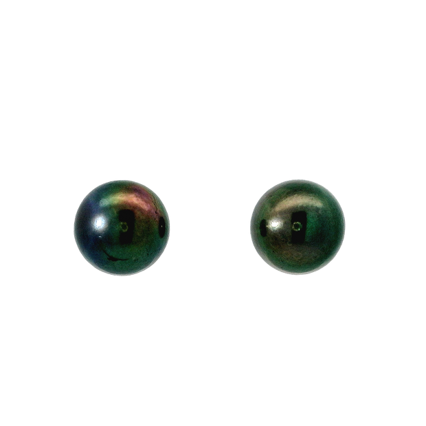 Black Freshwater Pearl Stud Earrings in Silver