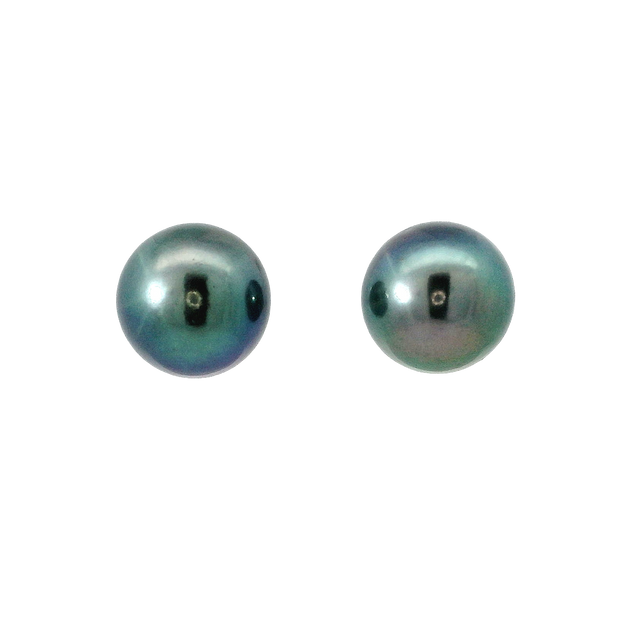 Black Freshwater Pearl Stud Earings