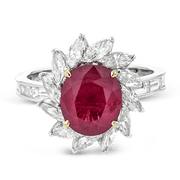 Color Ring in Platinum